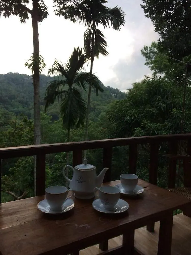 Villa25 Homestay Free Pick Up From The Centre Kandy Sri Lanka